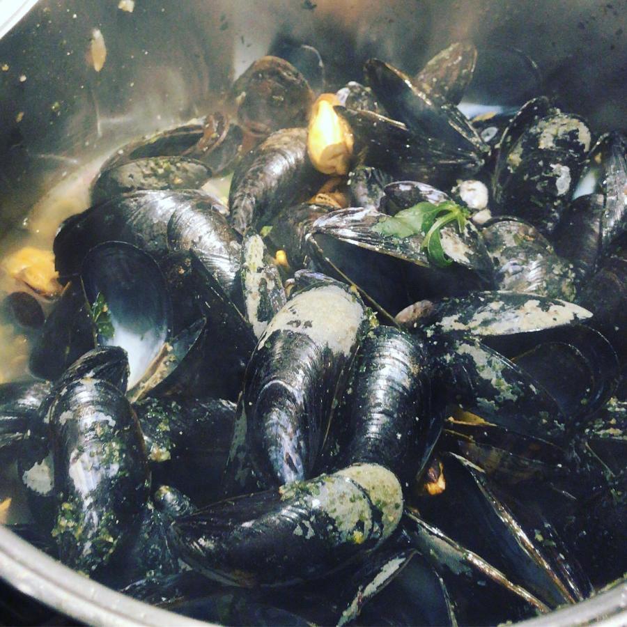 Slapen Bij De Zeeuwse Lala Alojamento de Acomodação e Pequeno-almoço