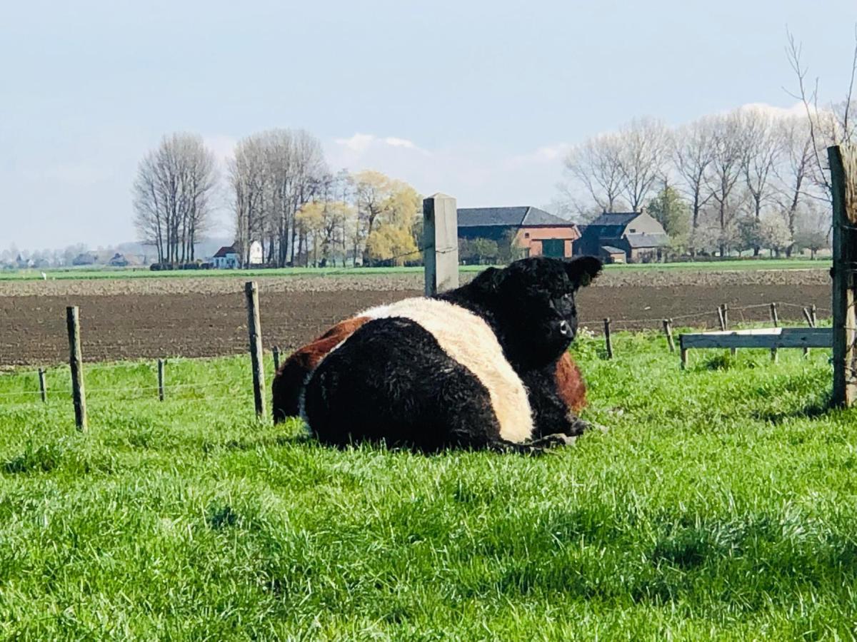 Slapen Bij De Zeeuwse Lala * IJzendijke