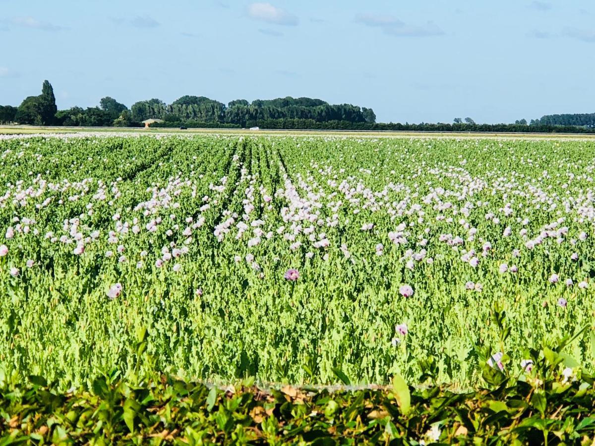 Slapen Bij De Zeeuwse Lala IJzendijke